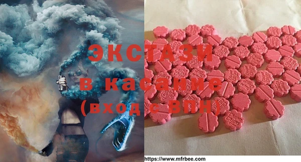 твердый Аркадак