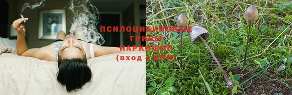 герыч Арсеньев