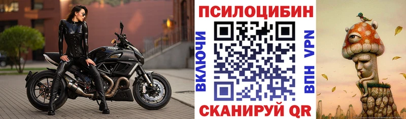 Купить закладки  Лодейное Поле  Псилоцибиновые грибы Psilocybine cubensis 